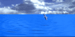 Anima024.gif (38769 bytes)